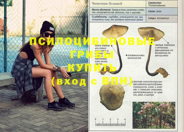 стафф Алзамай