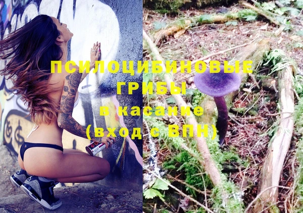 PSILOCYBIN Абинск