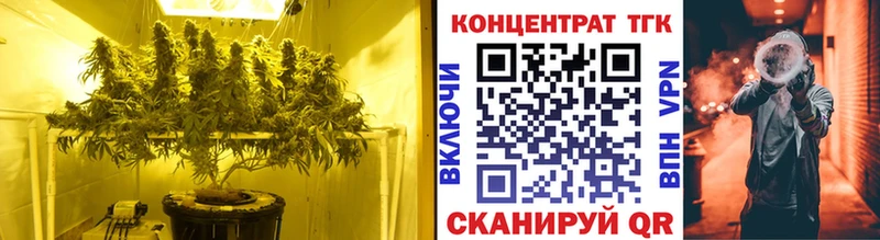 ТГК Wax  Правдинск 